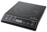 Duxtop9100mc_600px